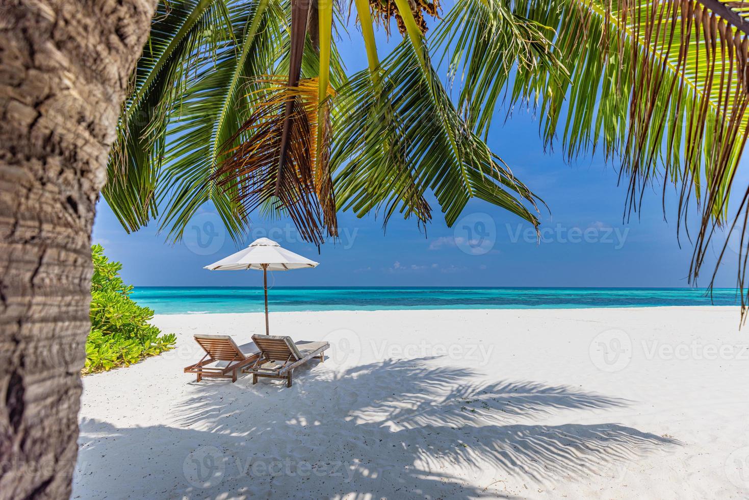 Tranquil tropical beach. White sand and coco palm tree leaves travel tourism. Two chairs with cloudy blue sky, idyllic luxury destination island resort. Amazing beach landscape, couple freedom concept photo