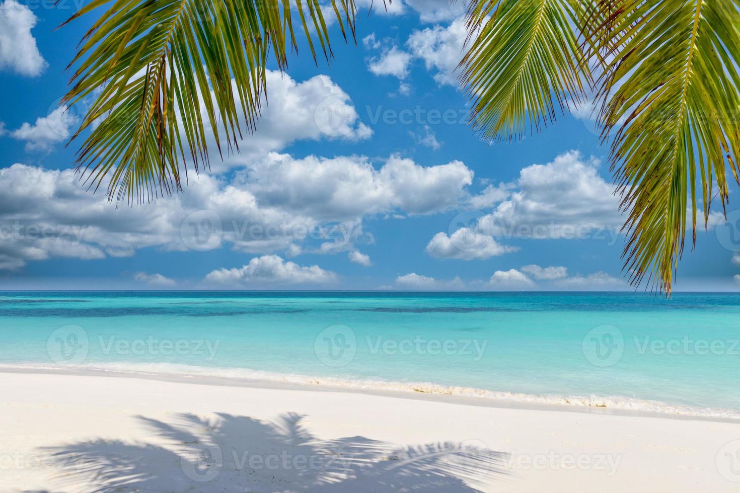 Summer beach landscape. Vacation nature background, beautiful palm tree leaves with calm relaxing blue sea under cloudy sky. Perfect tranquil tropical island shore traveling mood. Getaway beach banner photo