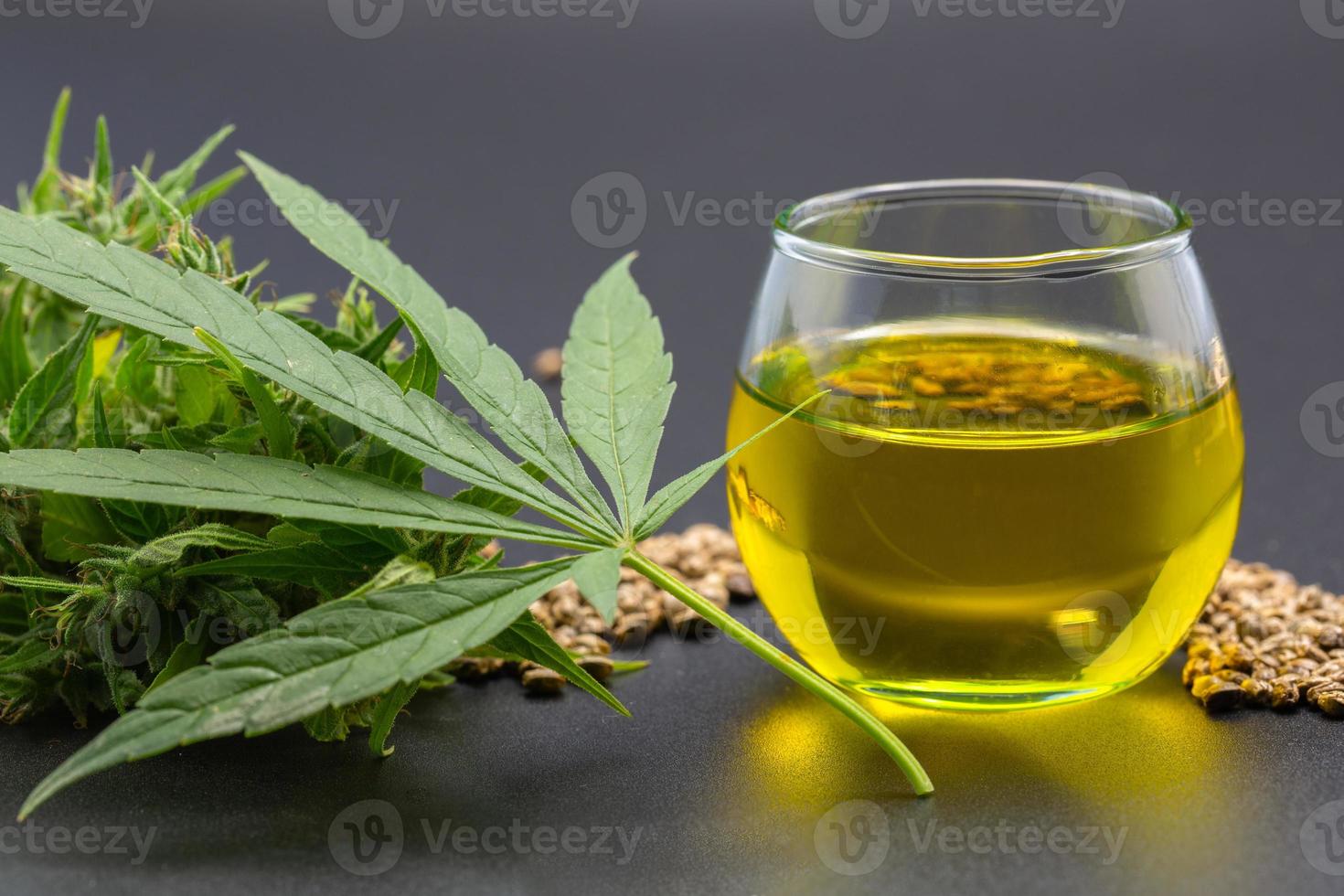 CBD Hemp oil,   Cannabis oil against Marijuana plant,     alternative remedy or medication,medicine concept photo