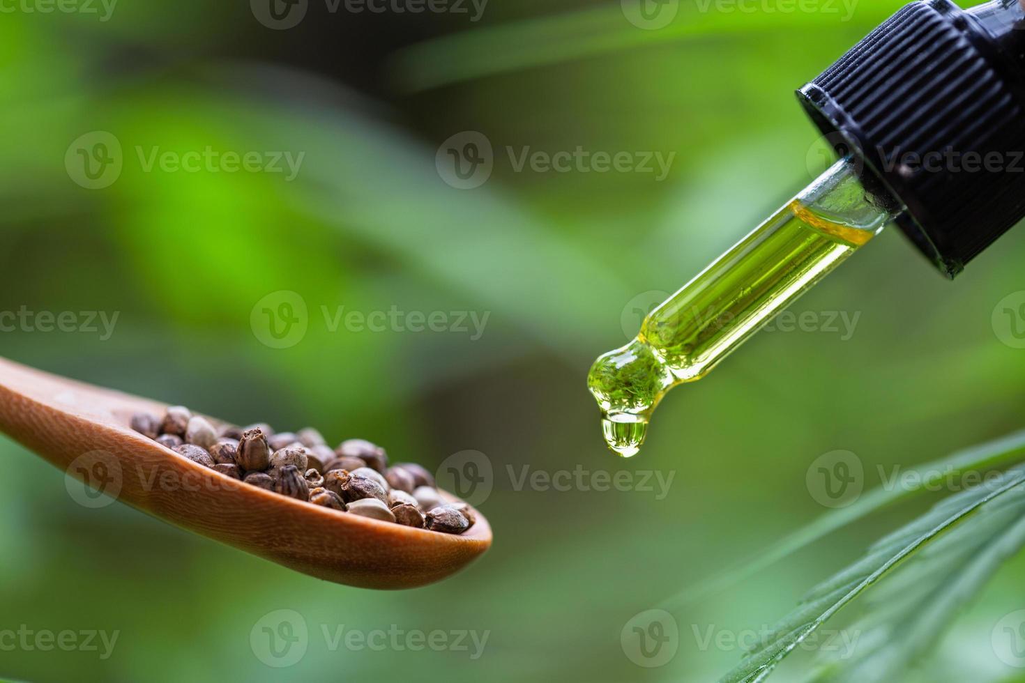 A drop of hemp oil in pipette and hemp seeds in a spoon, natural herb, medical marijuana concept, CBD cannabis oil. photo