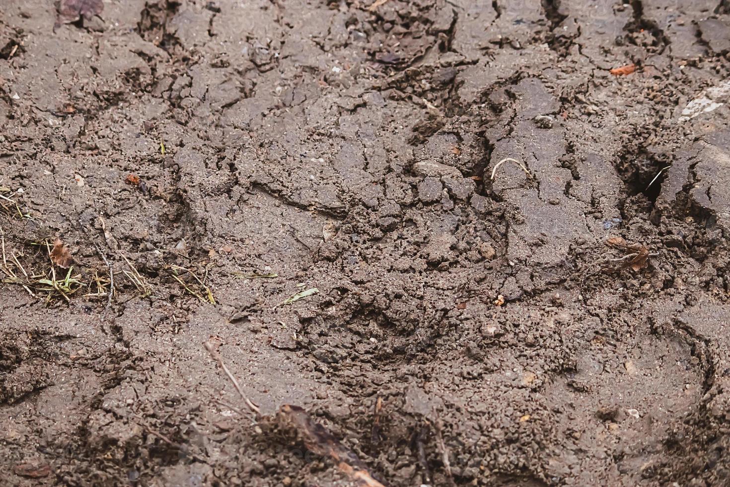 Dirty texture. Wet soggy earth after rain. Mud surface in autumn. photo