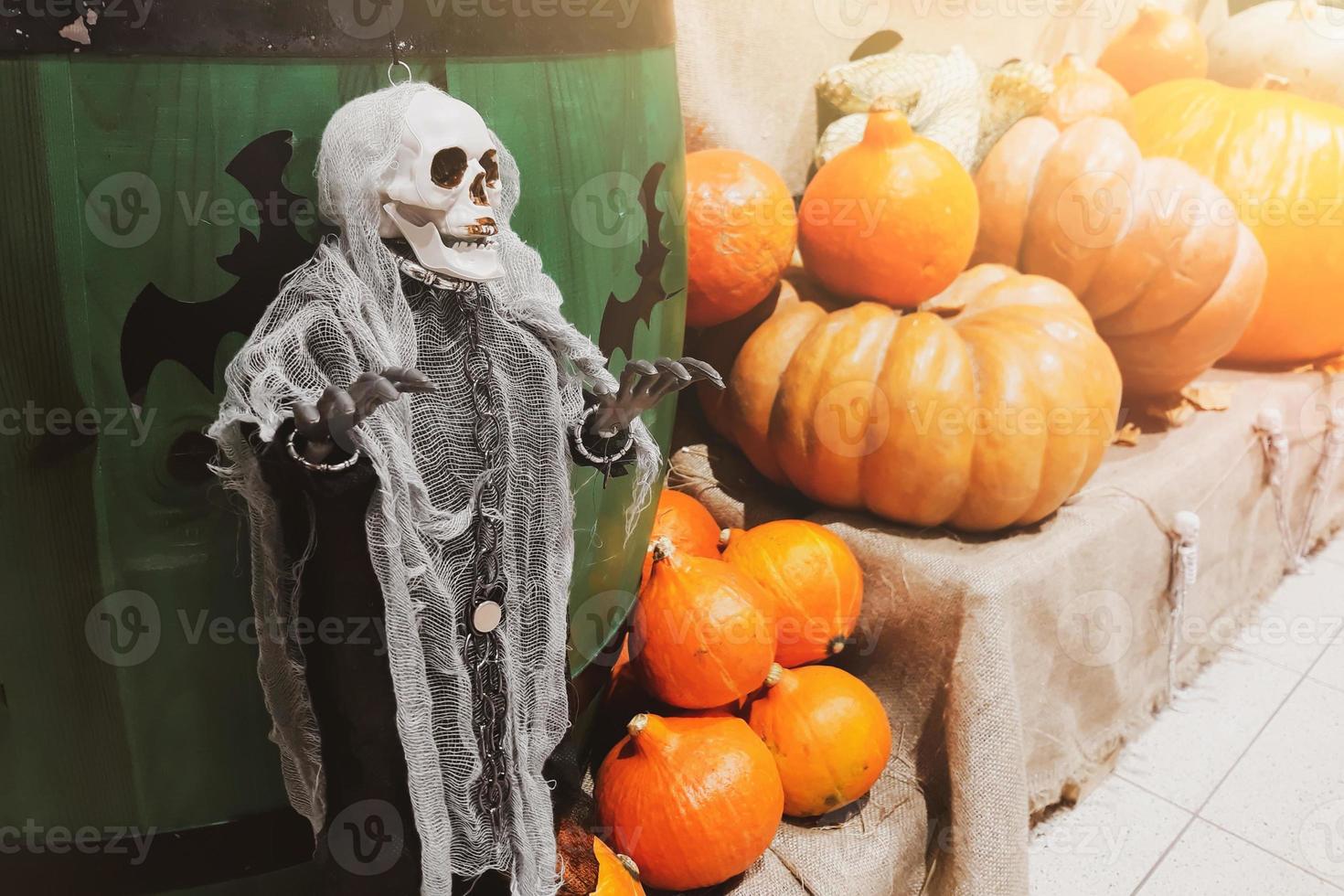 Halloween decorations. Skeleton and fresh pumpkins. Farmers market. Ripe vegetables on shelves for sale in countryside. photo