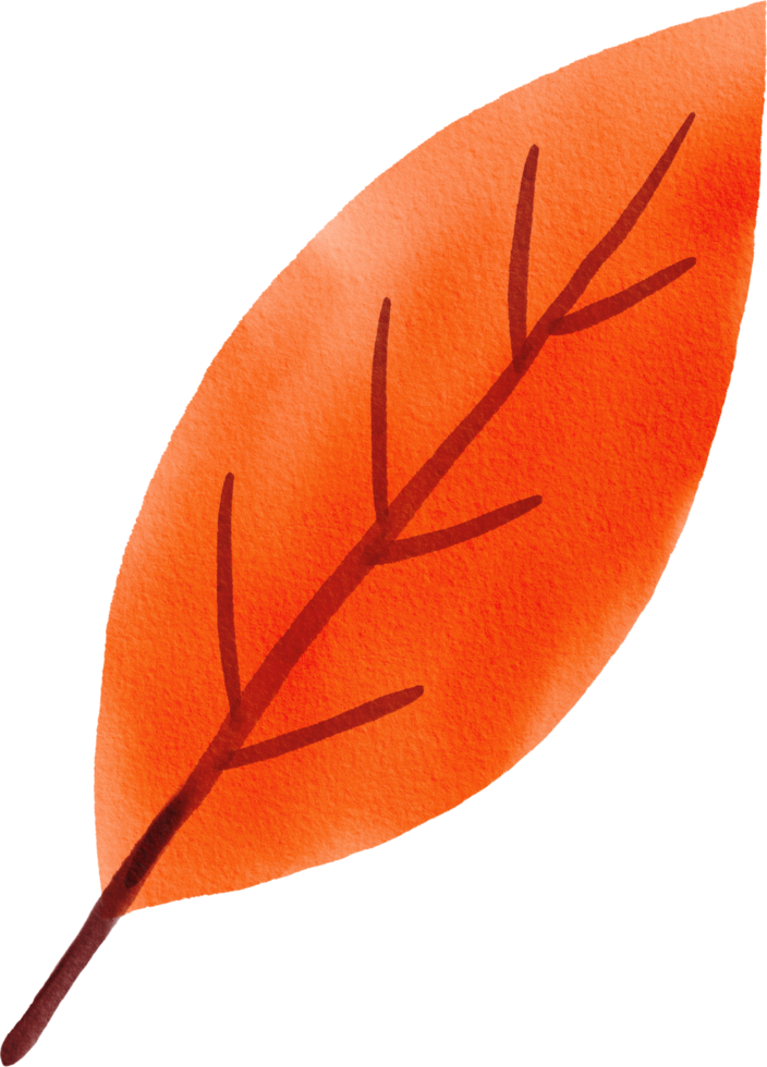 folha de outono desenhada à mão em aquarela png
