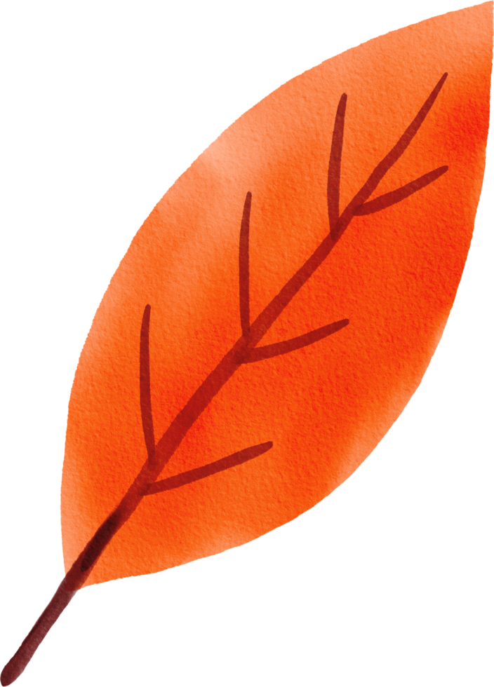 Watercolor Hand drawn Autumn Leaf png