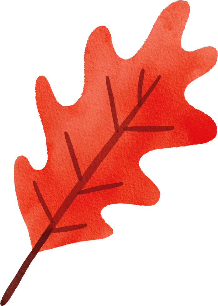 Watercolor Hand drawn Autumn Leaf png