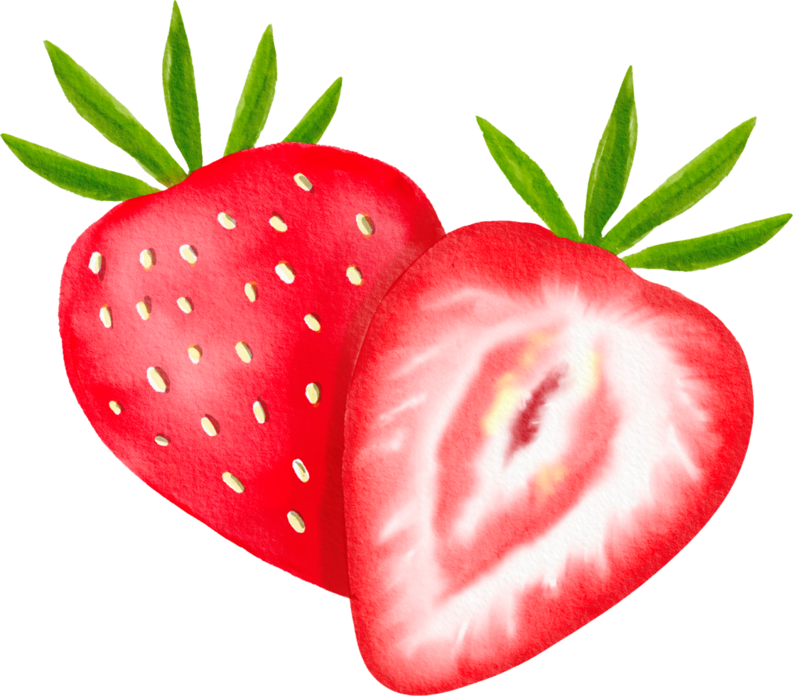 fraise peinte à l'aquarelle png