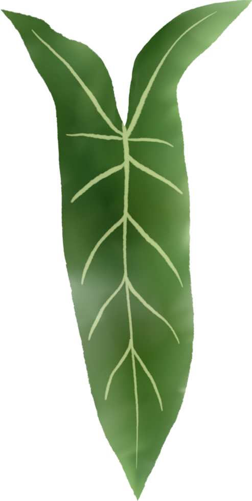 tropical leaves watercolor painted png