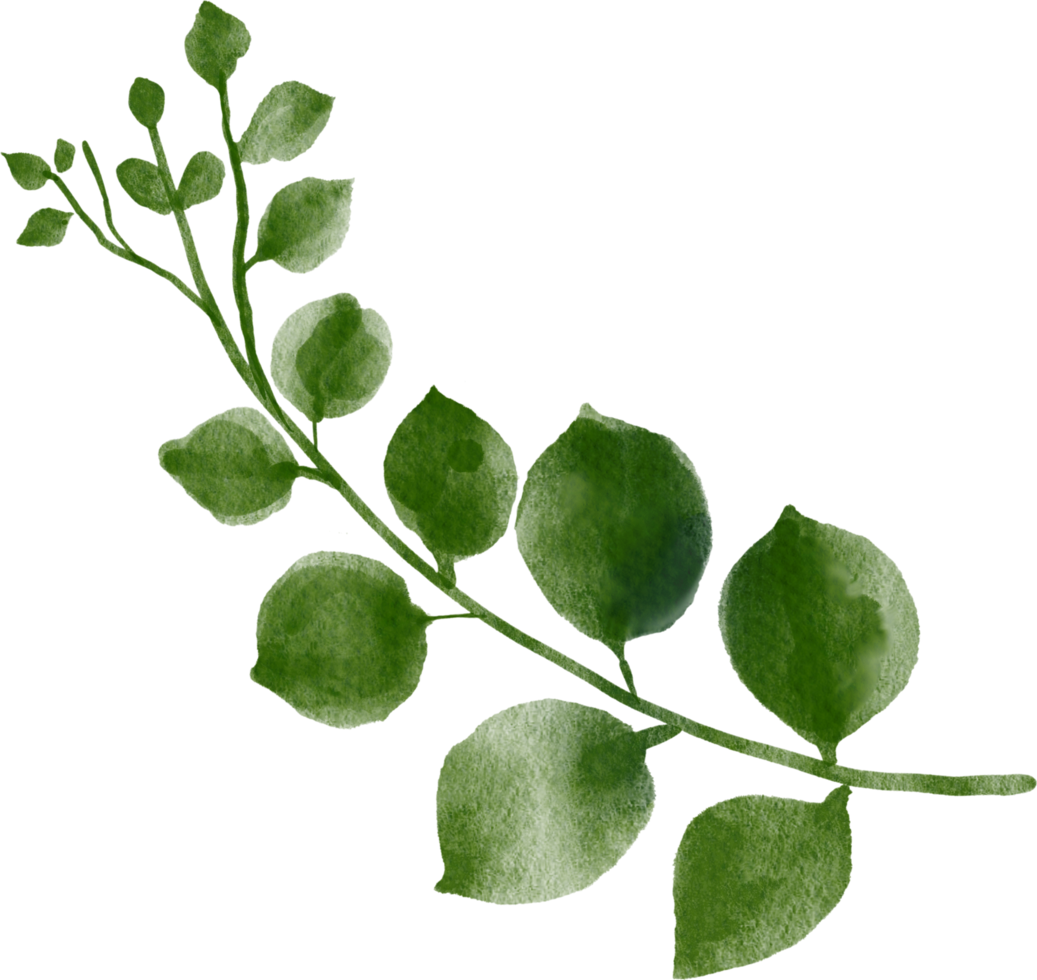 Leaf watercolor painted png