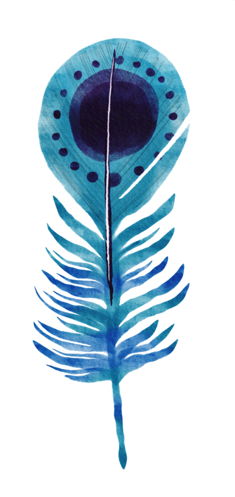 watercolor painted feather png