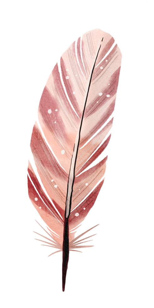 watercolor painted feather png