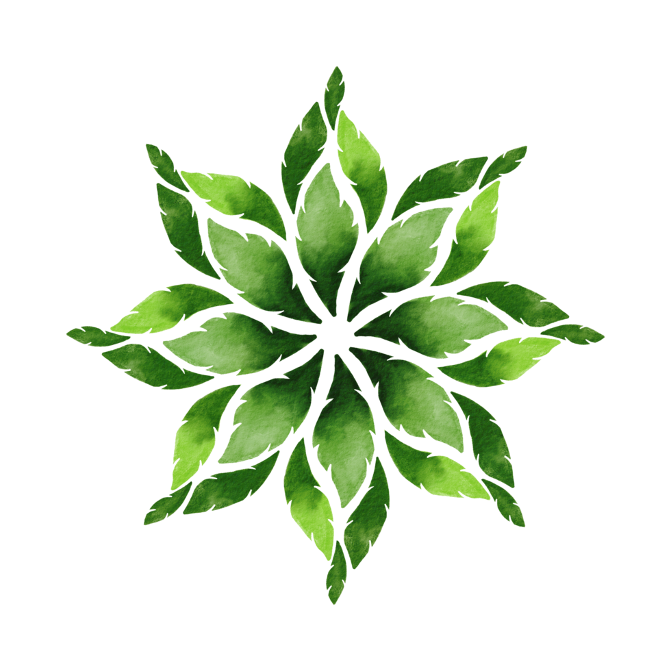 green mandala watercolor painted png