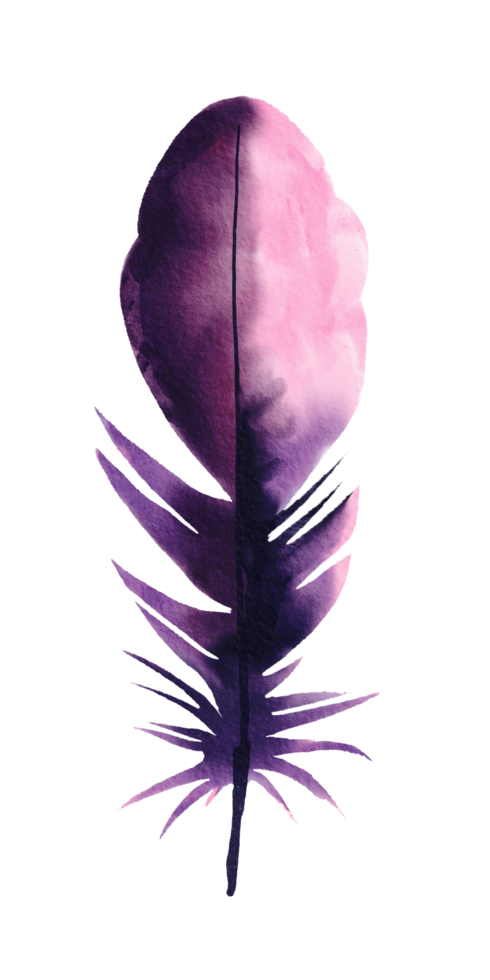 watercolor painted feather png