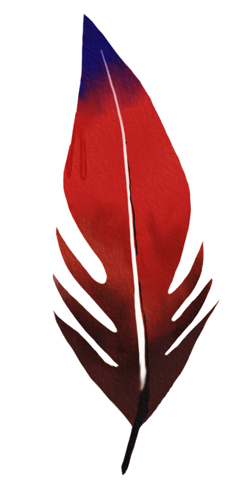 watercolor painted feather png