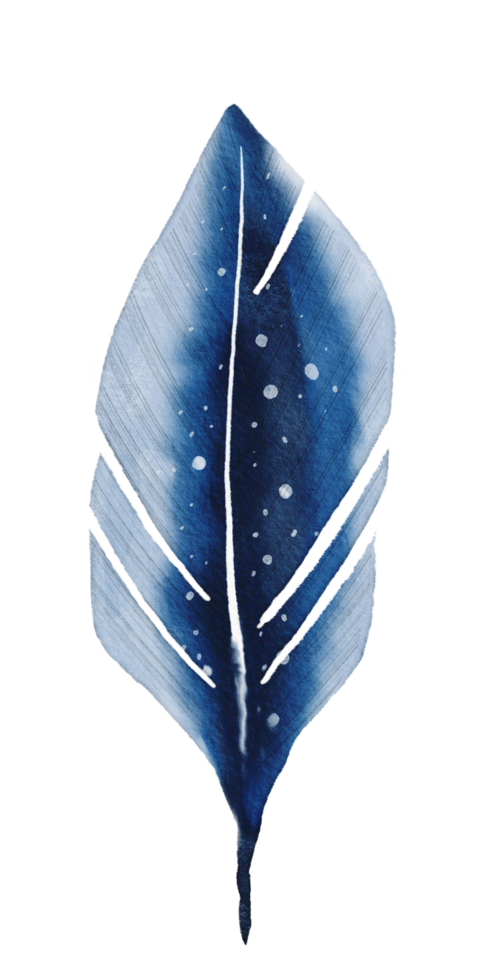 watercolor painted feather png