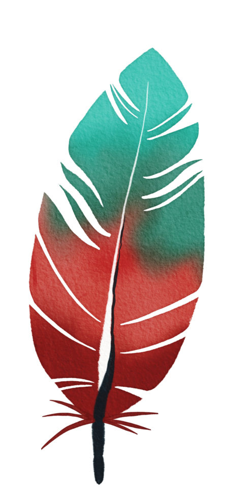 watercolor painted feather png