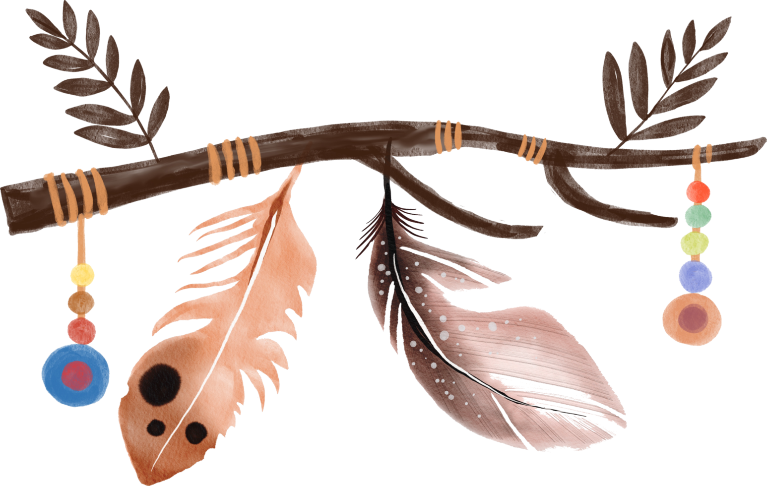 pluma bohemia acuarela pintada png