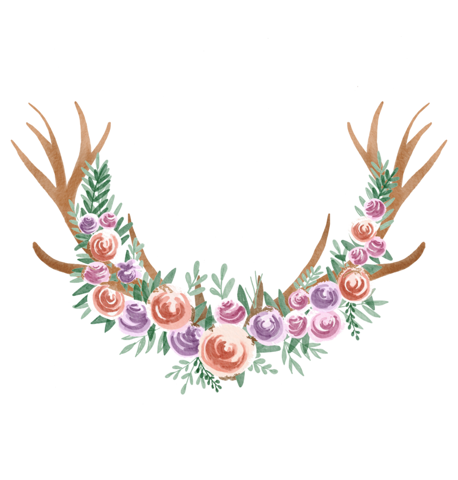 watercolor antler and flower png