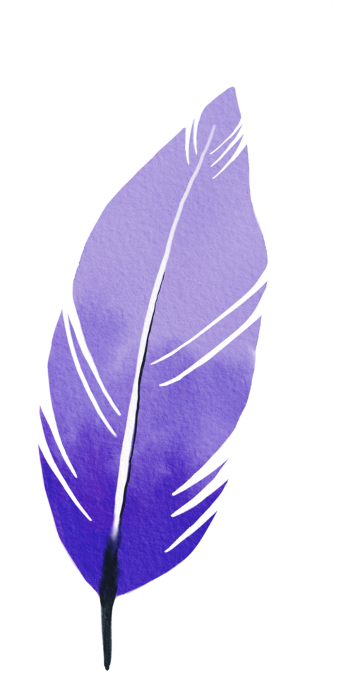 watercolor painted feather png