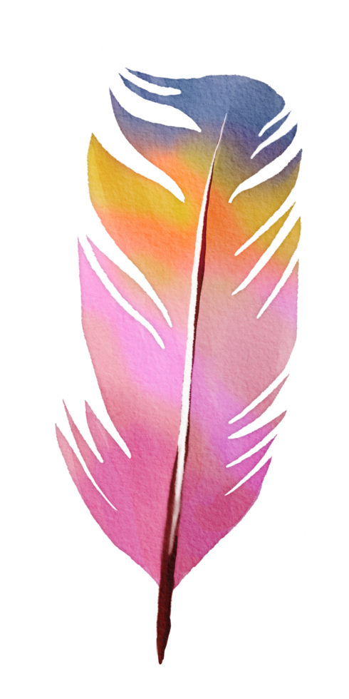 watercolor painted feather png