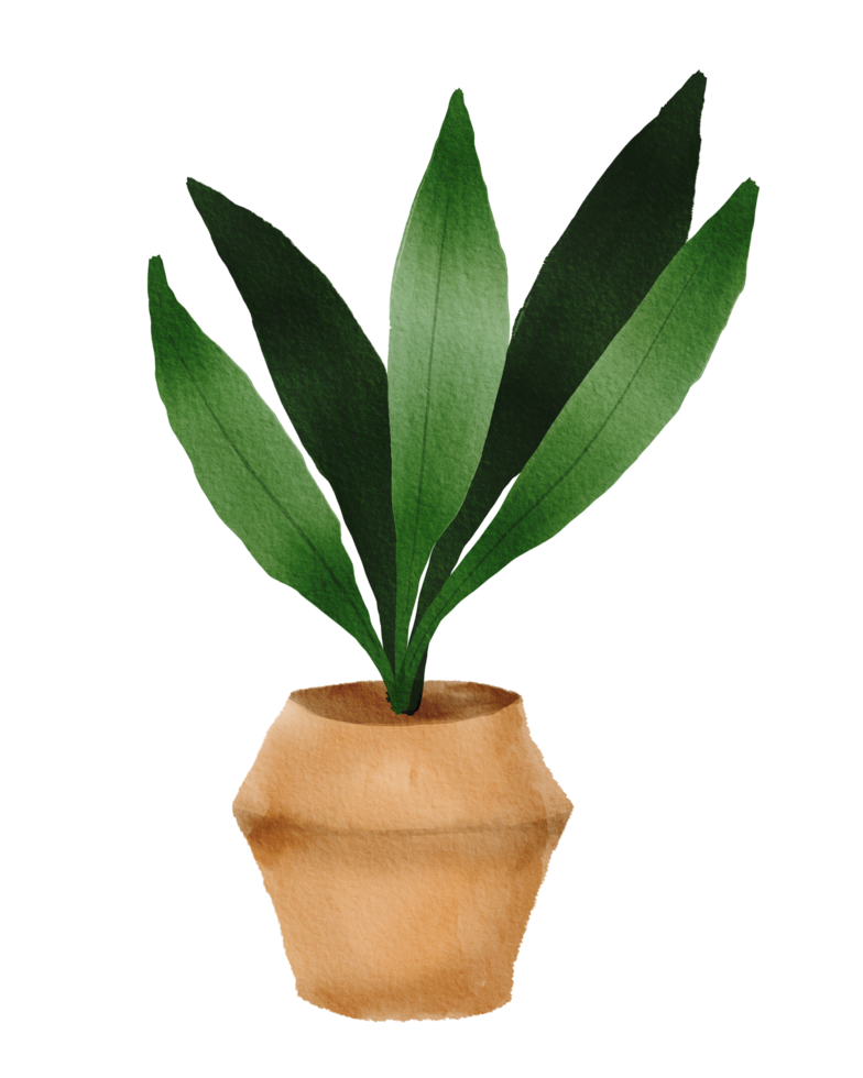 watercolor painted houseplant png