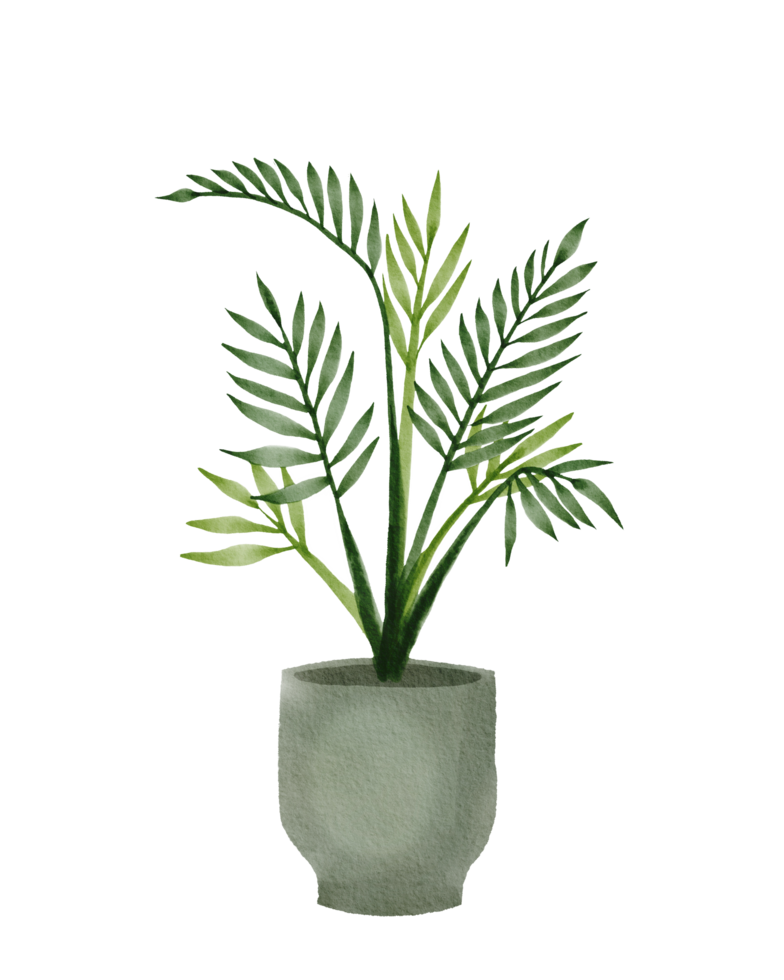 watercolor painted houseplant png