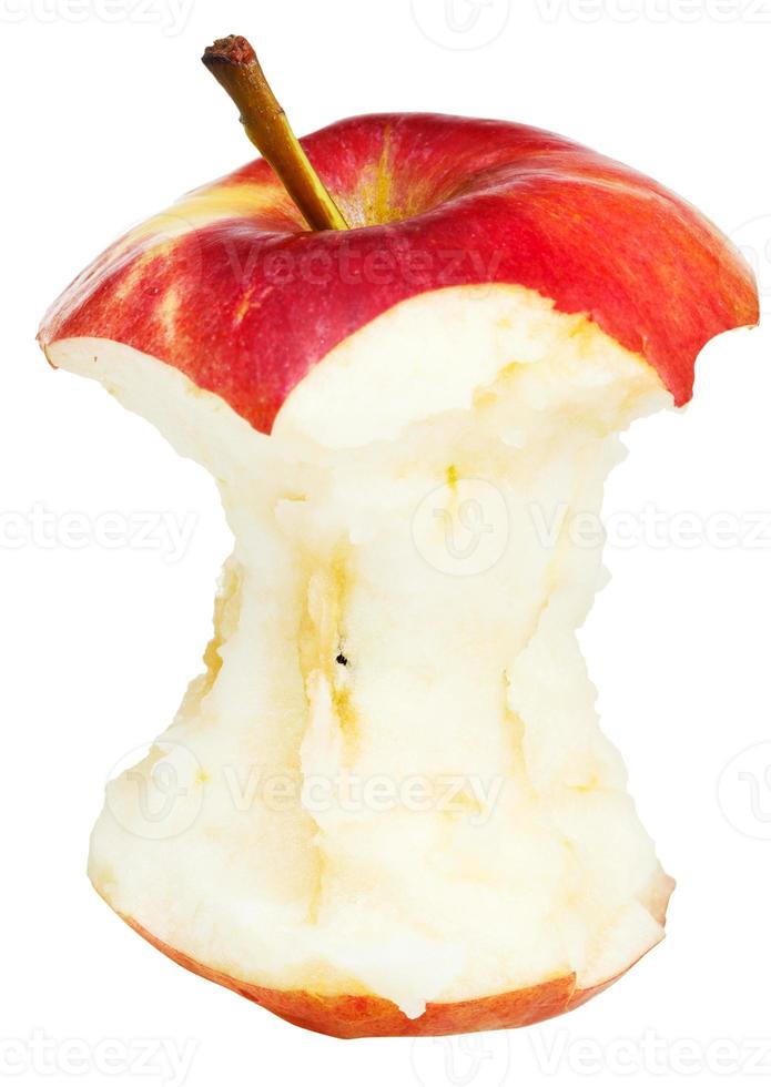 core of red wealthy apple photo