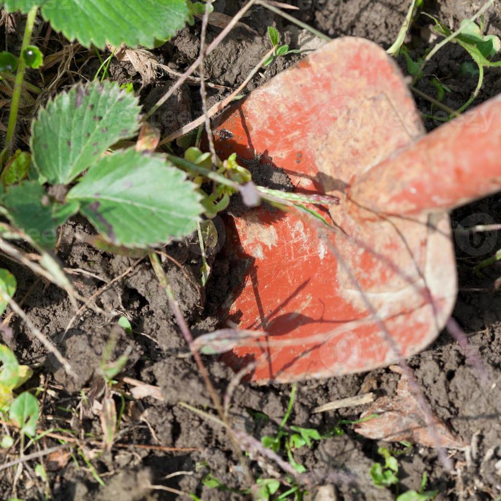 digging with trowel photo