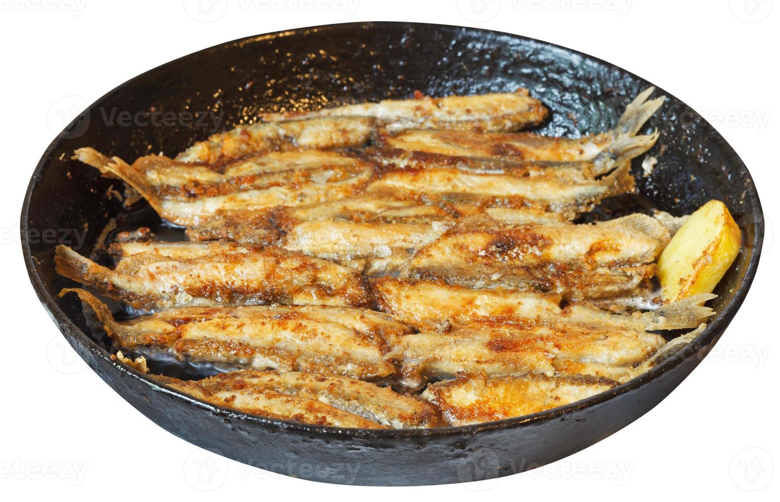 fried fish capelin on frypan isolated on white photo