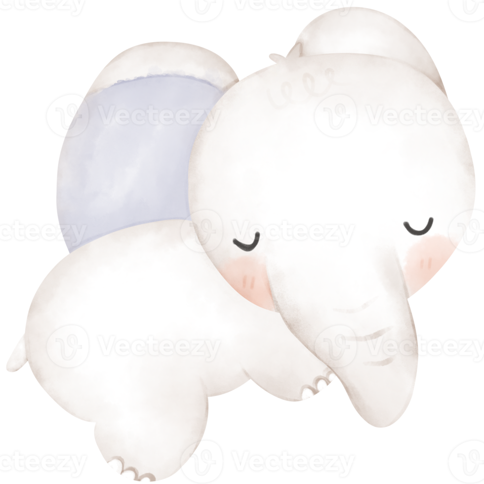 cute elephant in watercolor png