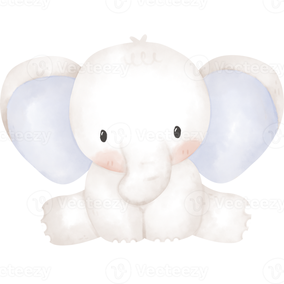 cute elephant in watercolor png