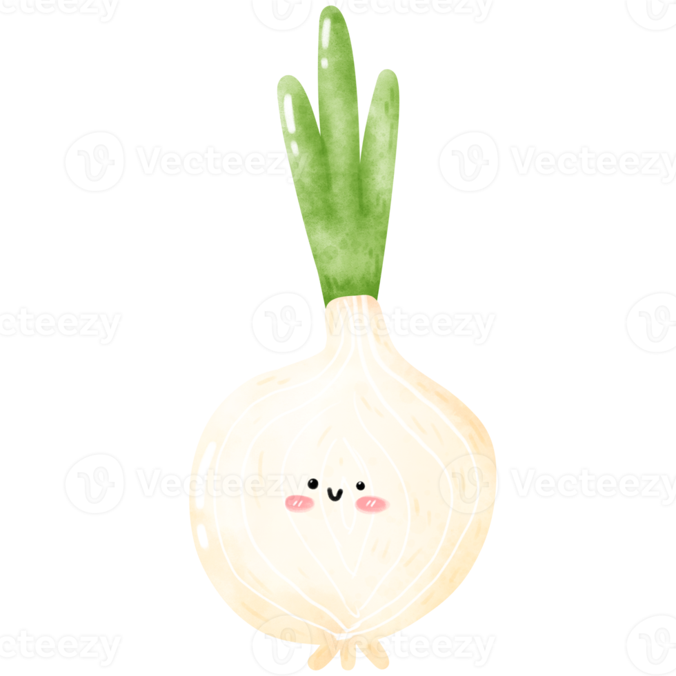 cute vegetable watercolor png