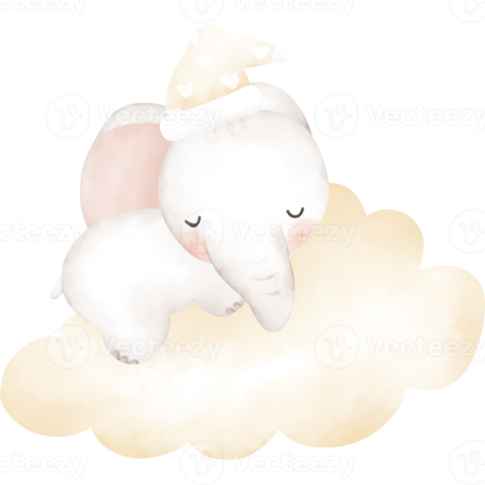 carino elefante nel acquerello png