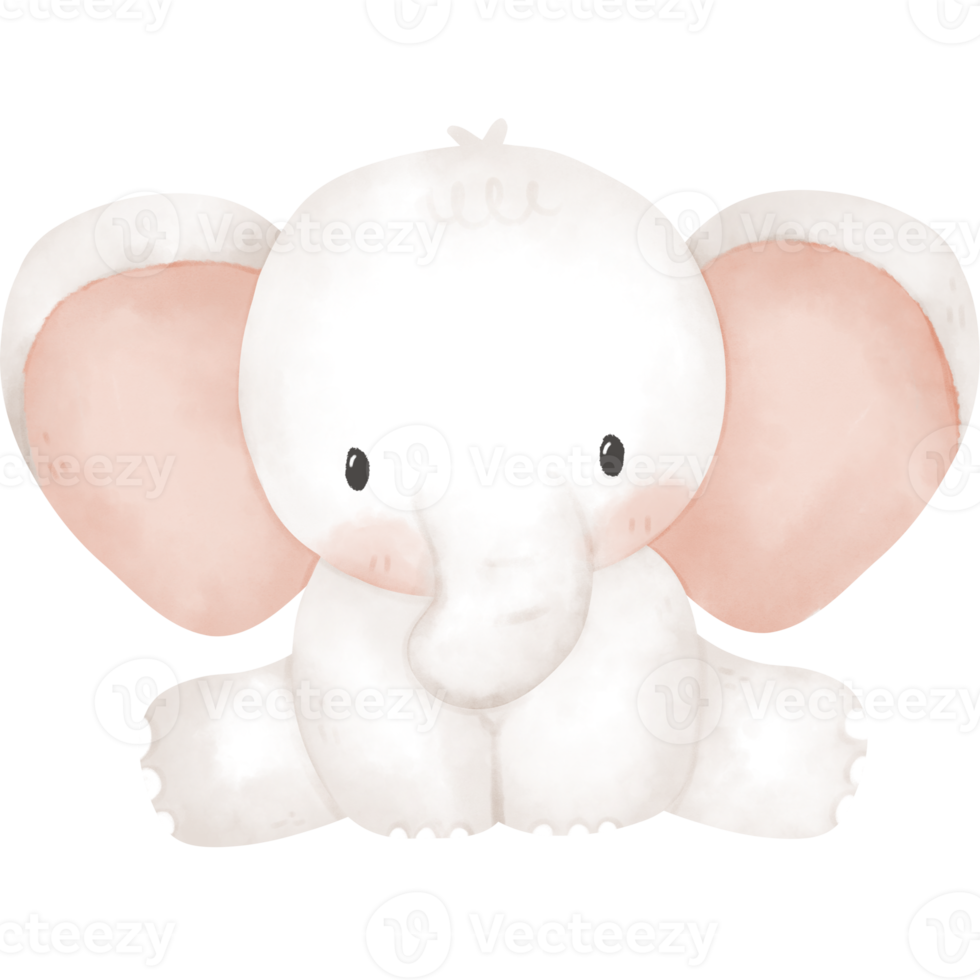 cute elephant in watercolor png
