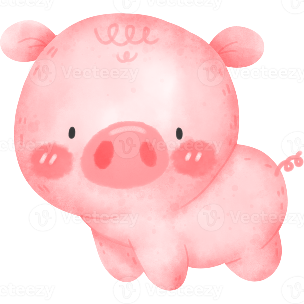 cute pig watercolor png