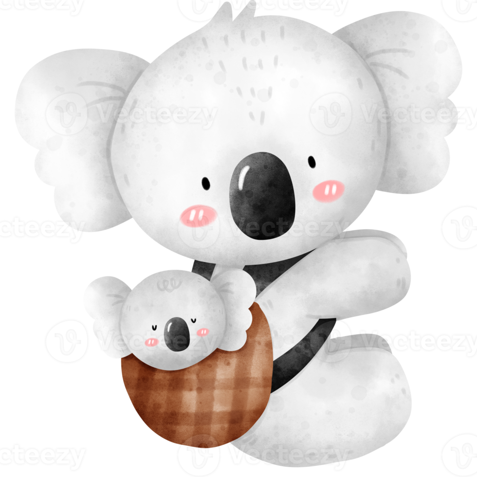 Koala and baby koala png