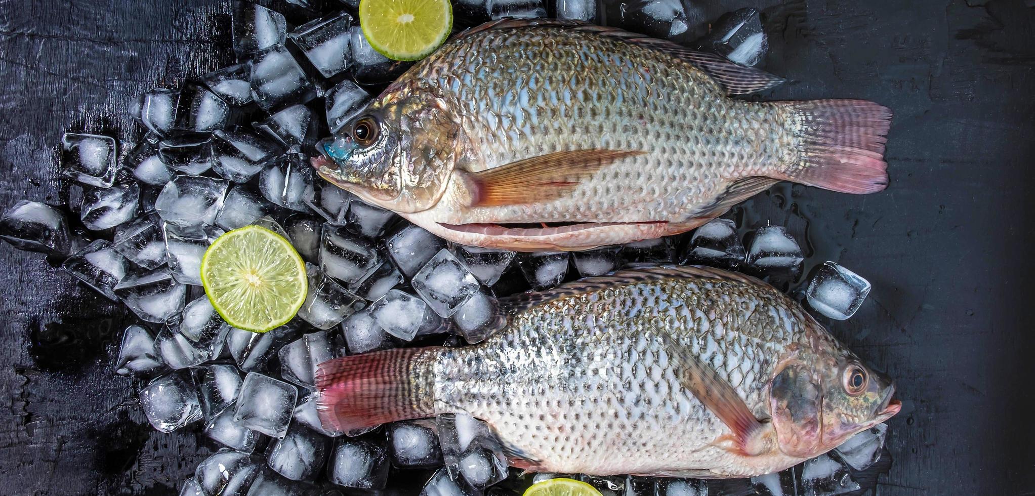 la vista superior de la tilapia fresca se coloca sobre cubitos de hielo para mantenerla fresca para cocinar foto