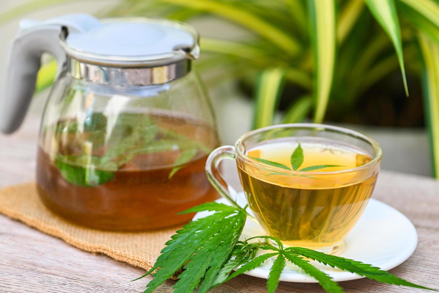 té de salud con planta de hoja de cáñamo thc cbd hierbas comida y concepto médico, té de cannabis a base de hierbas en taza de té y jarra con hoja de cannabis hojas de marihuana hierba sobre fondo verde natural foto