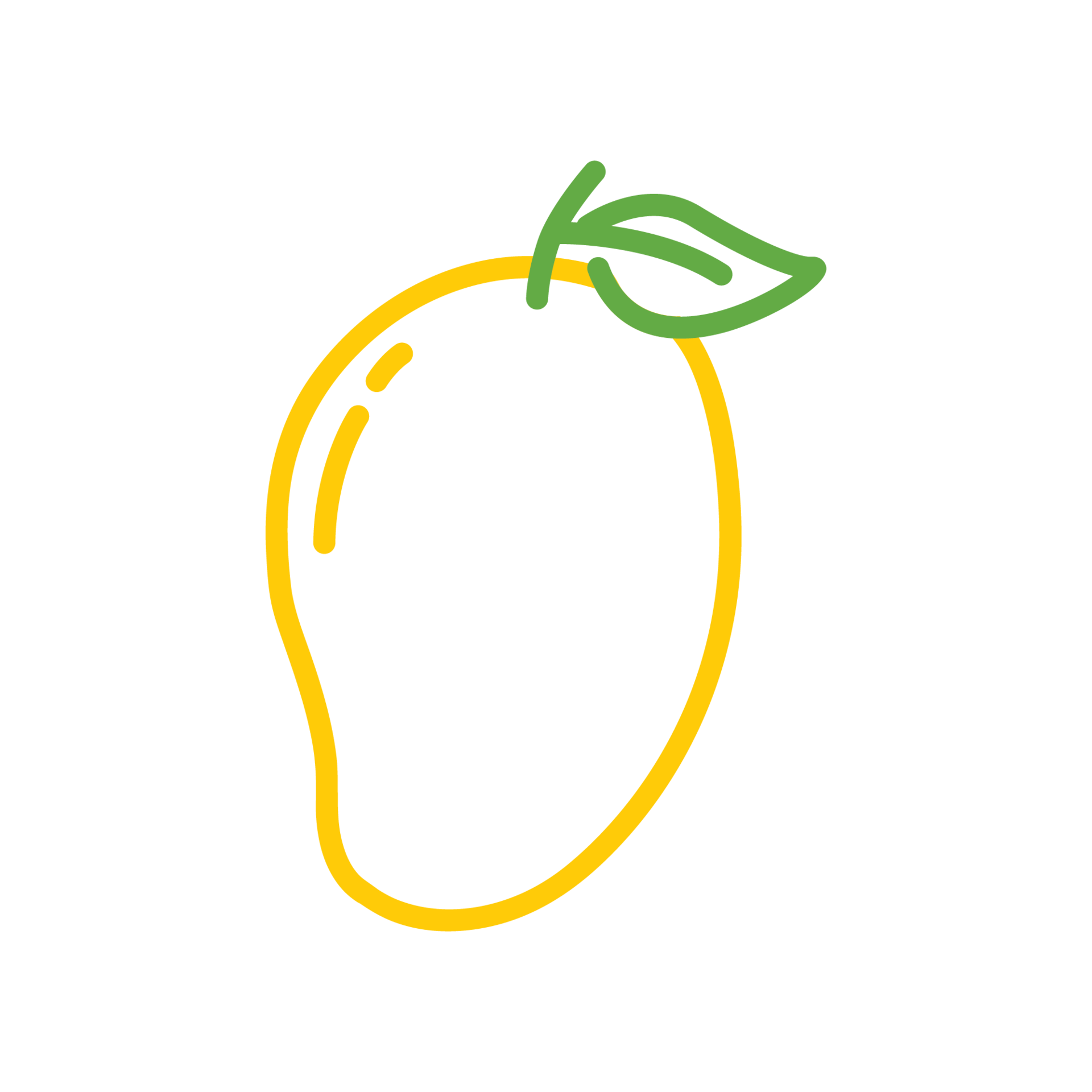 Free Ilustraciones de mango fruit simple line 11909922 PNG with