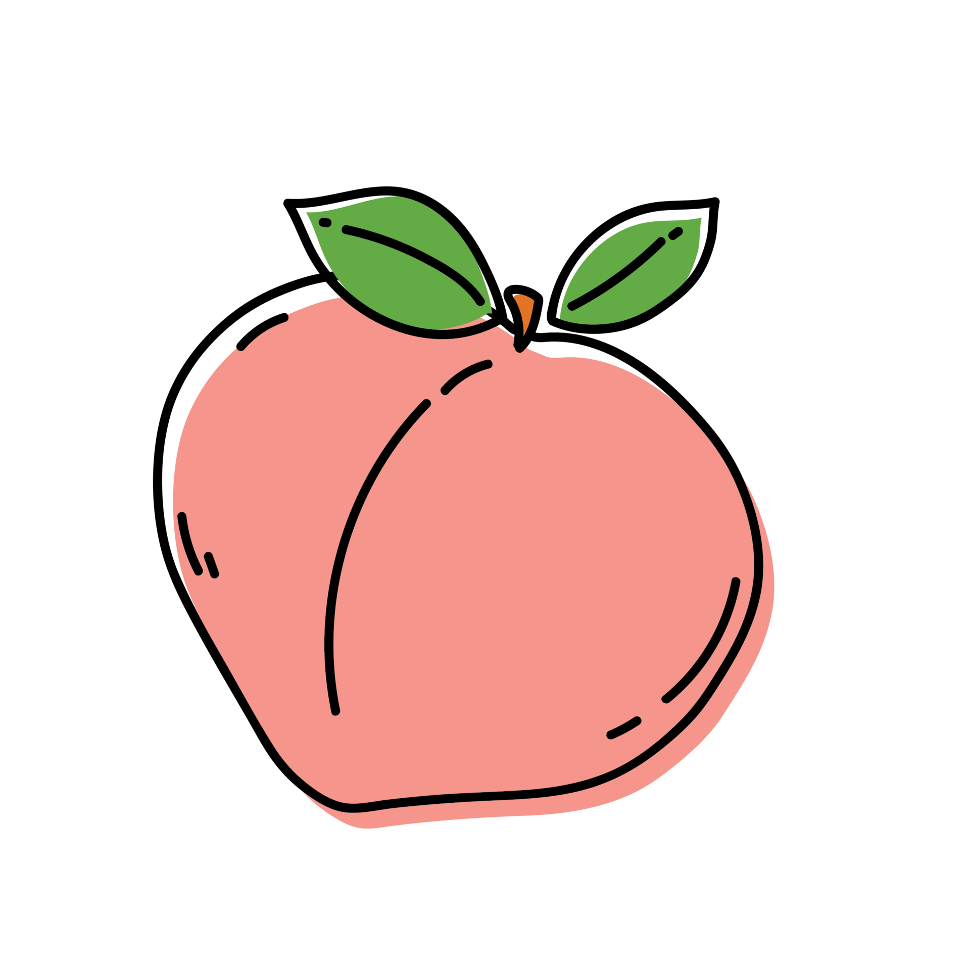 Peach Fruit Outline Illustrations 11909933 PNG