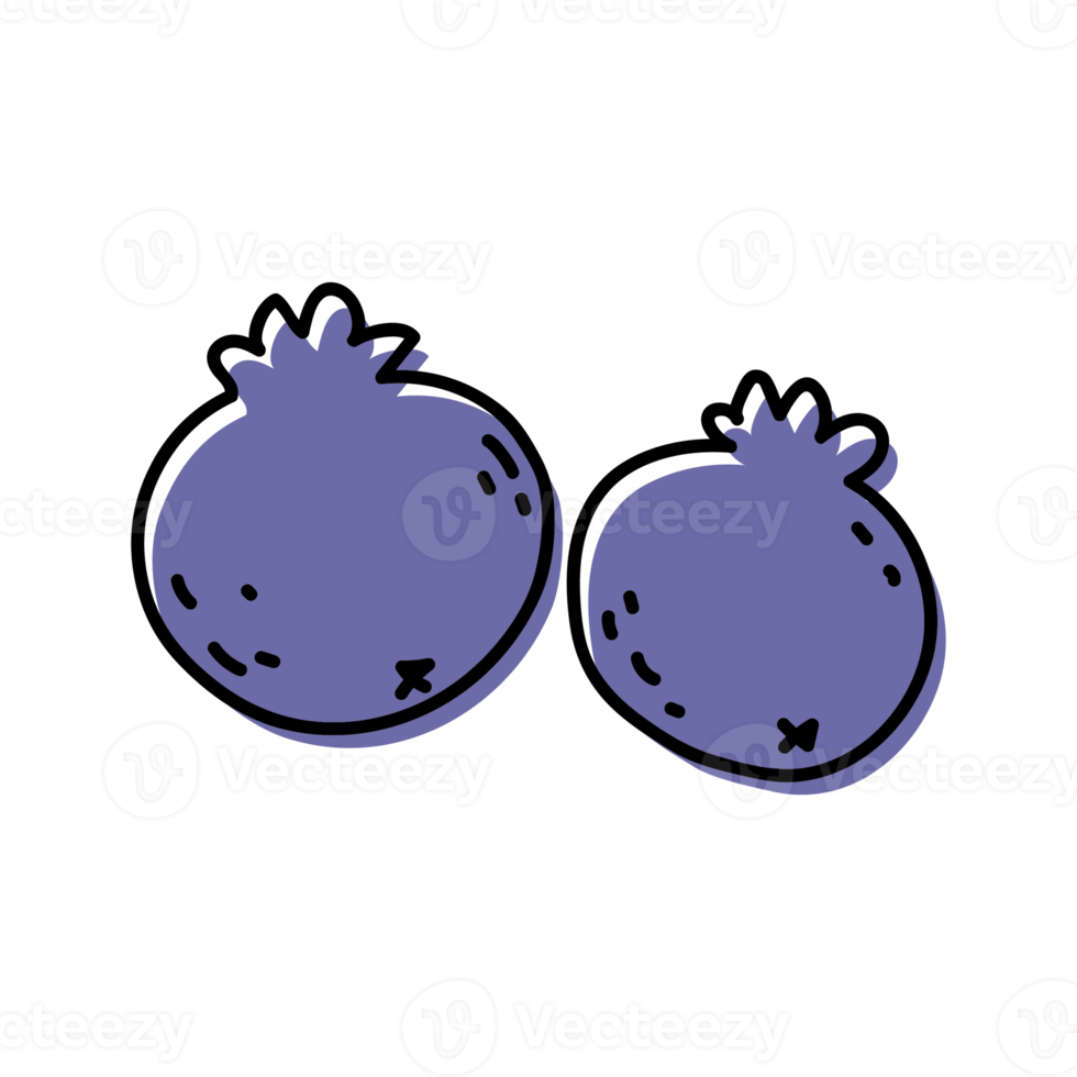 Blueberry Fruit Outline Illustrations png