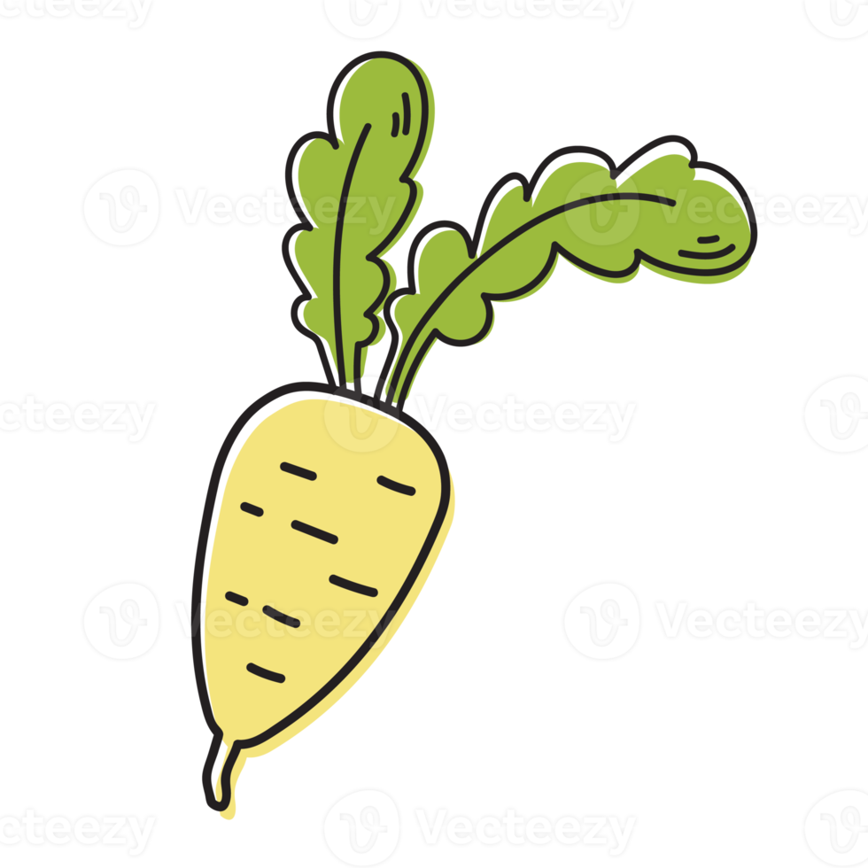 Radish Vegetable Outline Illustration 11909957 PNG