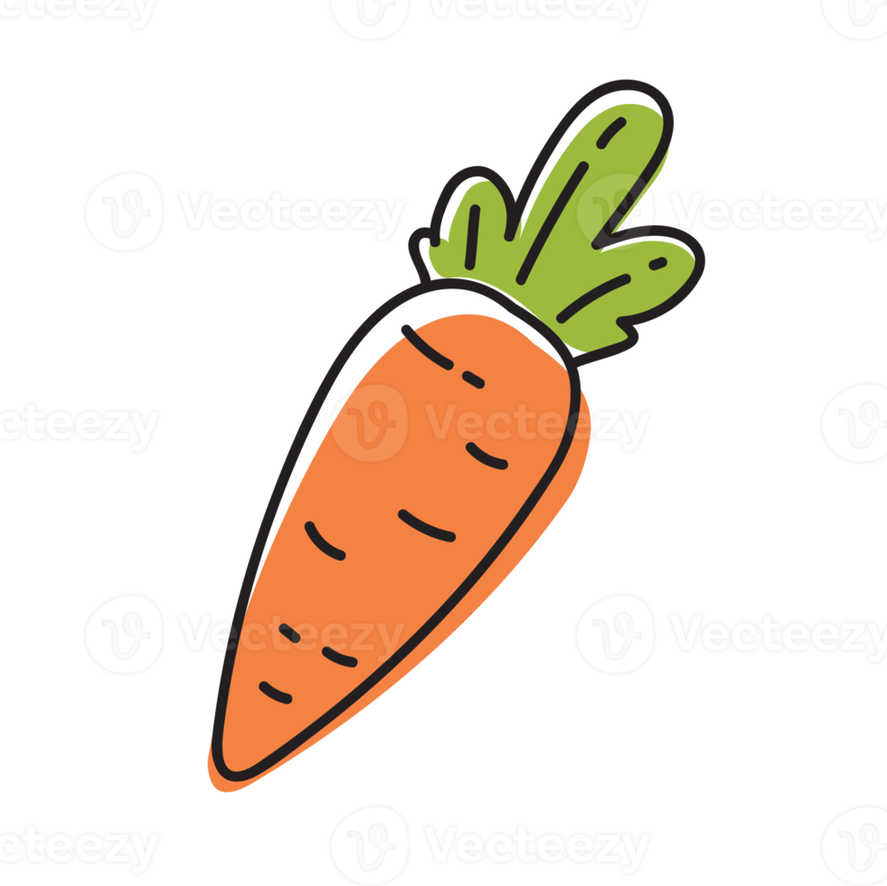 illustration de contour de légume carotte png