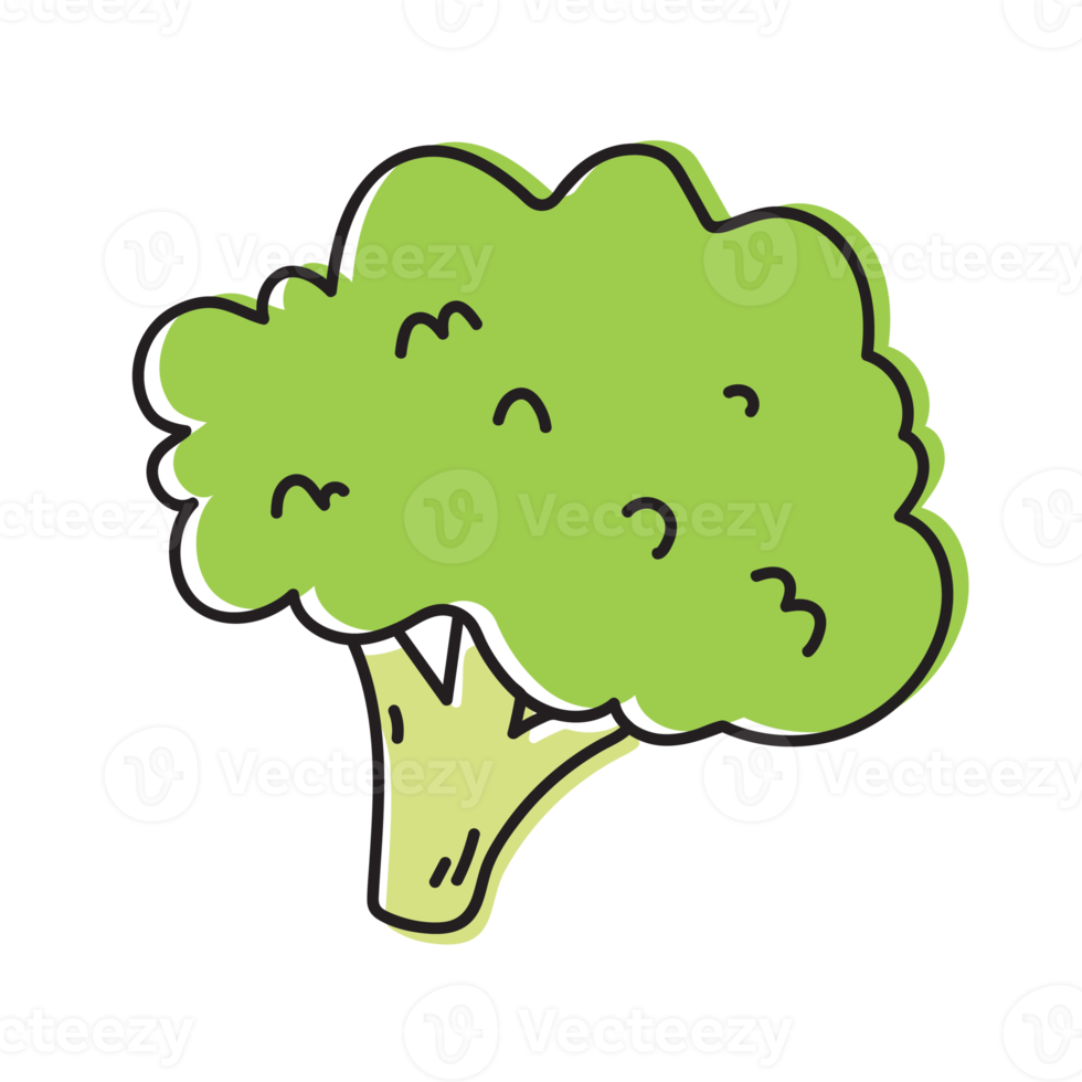 broccoli vegetabiliska översikt illustration png