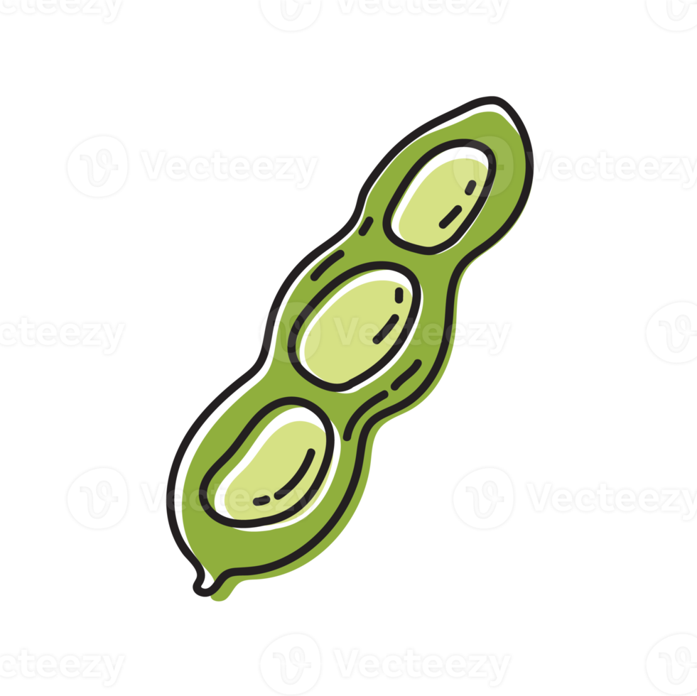 Fava Beans Vegetable Outline Illustration png