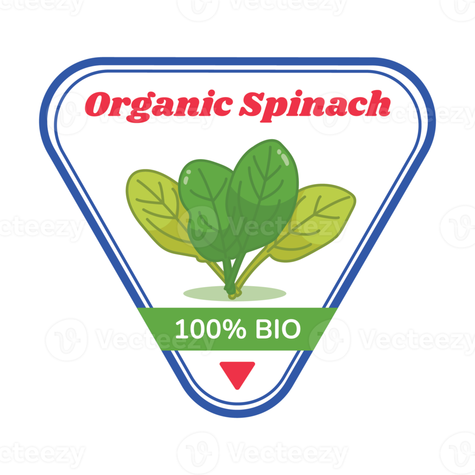 Spinach Vegetable Sticker Illustration png