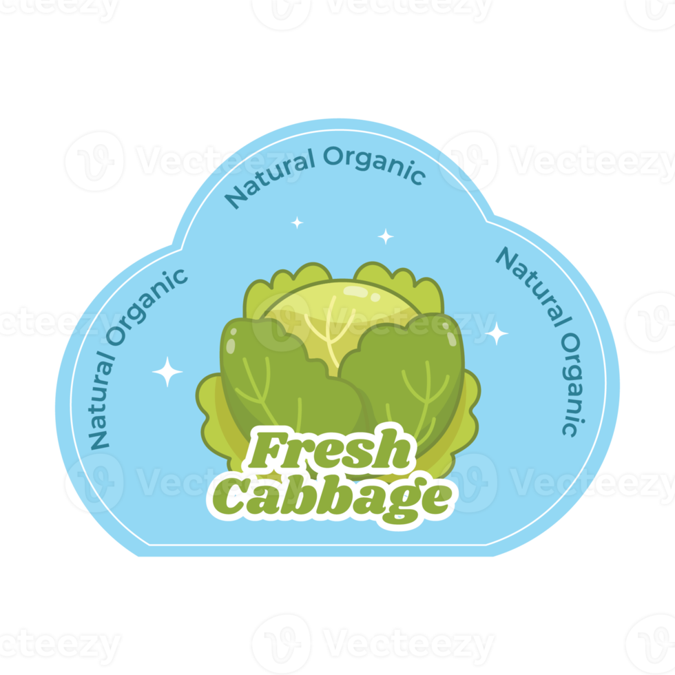 Cabbage Vegetable Sticker Illustration png