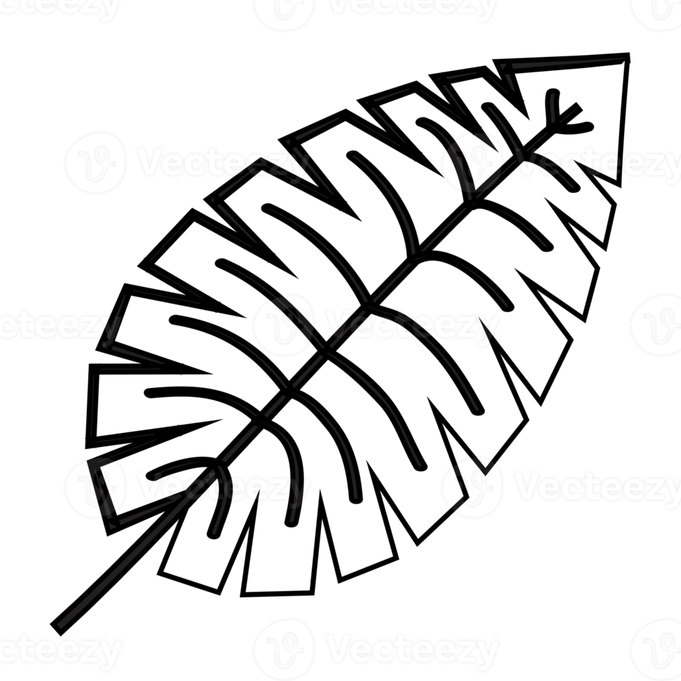 Leaf outline illustration, PNG with transparent background. 11911150 PNG