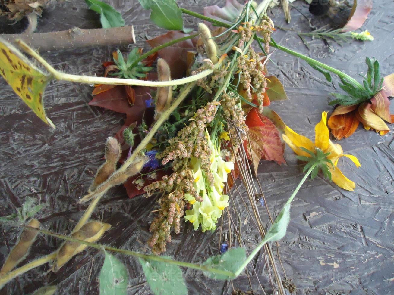 Autumn colorful flowers lie on the table photo