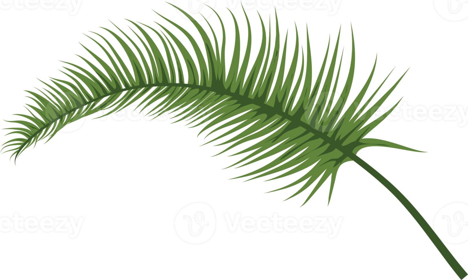 feuille verte botanique png