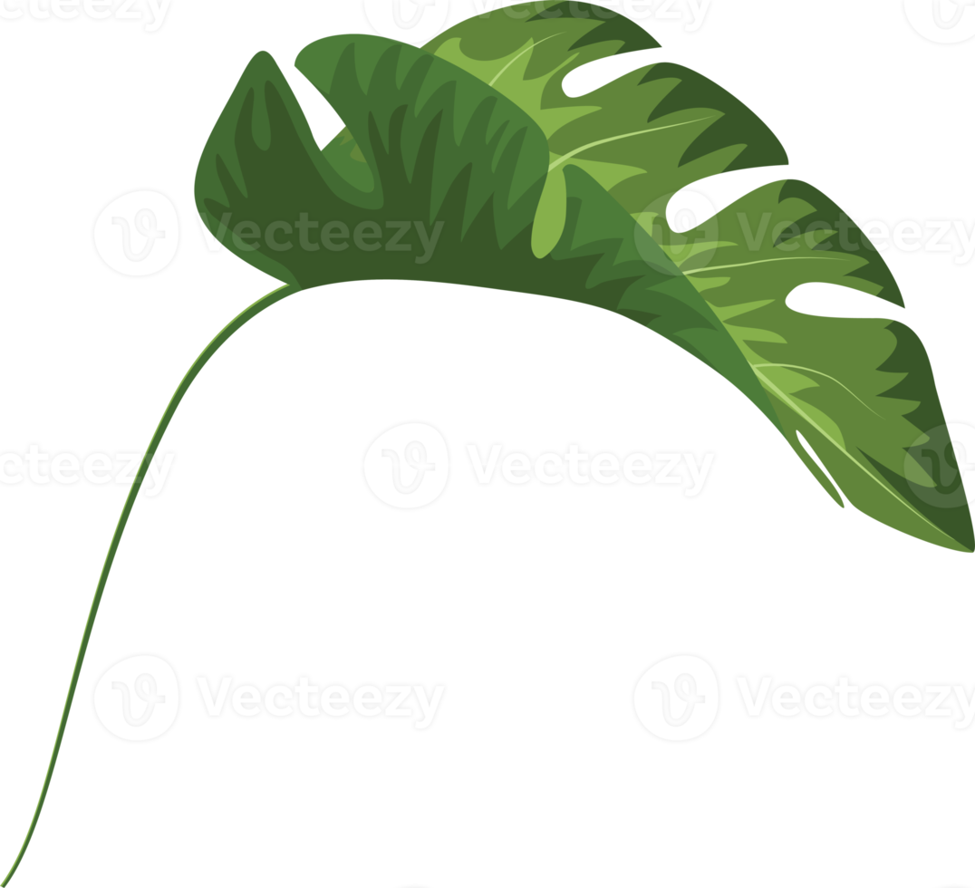 botanical green leaf png